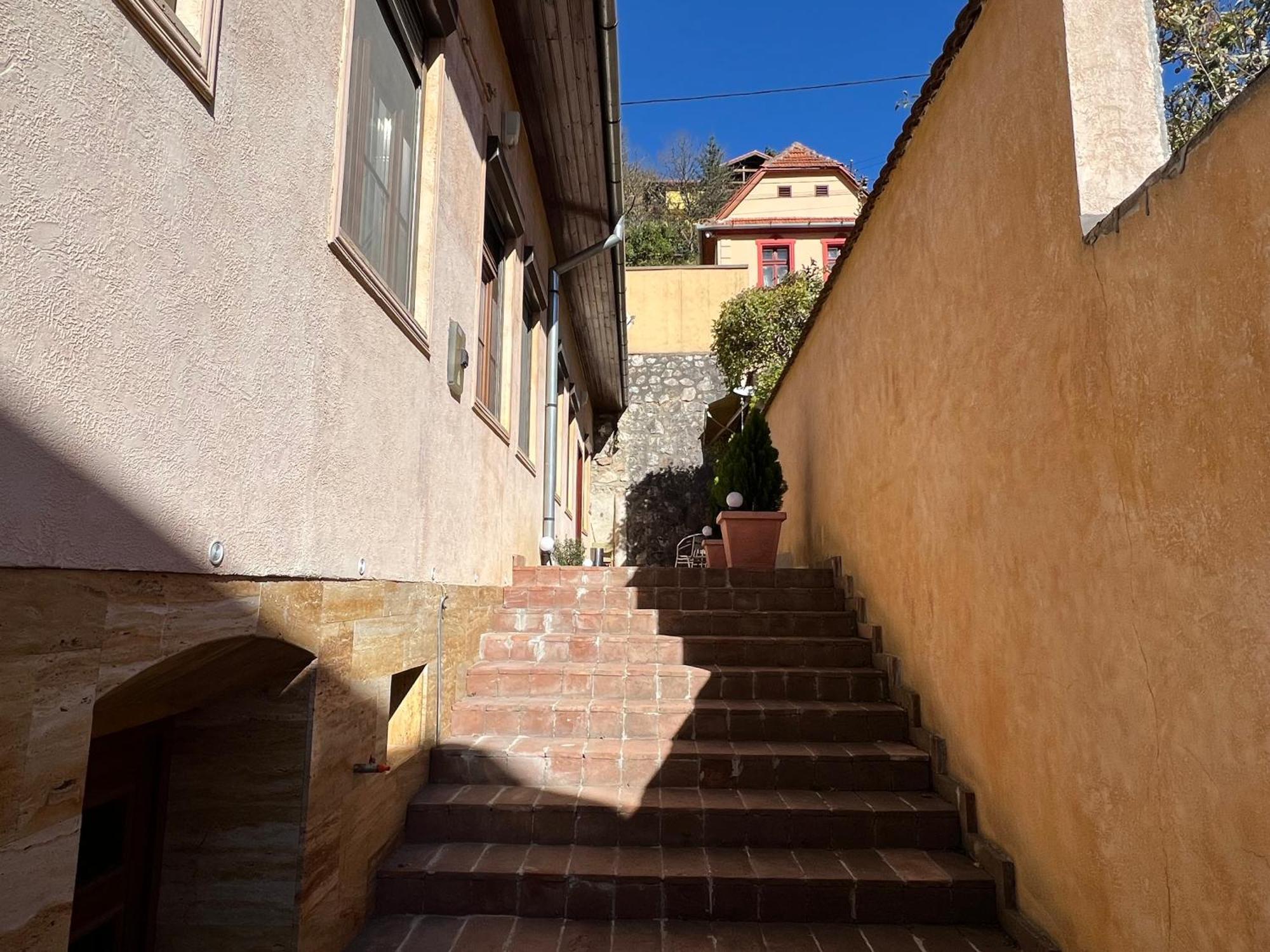 Retro House Mountain View Villa Braşov Dış mekan fotoğraf